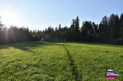 2024-08-24 KTRE 2024 -074121-DSC_0927